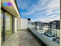 Pronájem kanceláře, Ostrava, F. X. Riepla, 268 m2