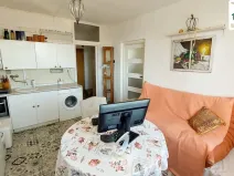 Prodej bytu 1+1, Plesná, Zahradní, 35 m2