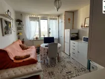 Prodej bytu 1+1, Plesná, Zahradní, 35 m2