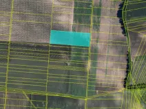 Prodej pole, Moravský Žižkov, 2009 m2