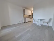 Pronájem bytu 1+kk, Brno, třída Generála Píky, 35 m2