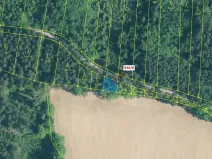 Dražba lesa, Hosty, 140 m2