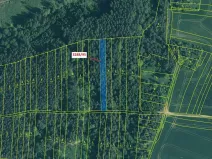 Dražba lesa, Hosty, 1735 m2