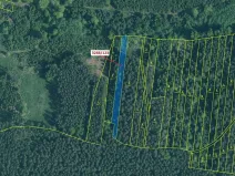 Dražba lesa, Hosty, 1707 m2