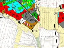 Dražba lesa, Přeborov, 16134 m2