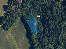 Dražba louky, Bouzov, 1043 m2