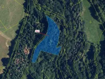 Dražba lesa, Bouzov, 2554 m2