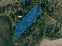 Dražba lesa, Náměšť nad Oslavou, 2998 m2