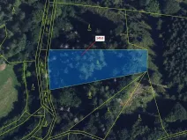 Dražba lesa, Vranová Lhota, 3122 m2