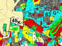 Dražba lesa, Kuřimany, 3688 m2