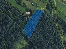 Dražba lesa, Žďárec, 3474 m2