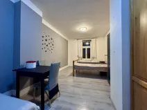 Pronájem bytu 1+kk, Praha - Vršovice, Donská, 30 m2