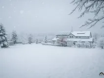 Prodej rodinného domu, Horní Bludovice - Prostřední Bludovice, 320 m2