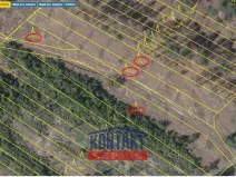 Prodej lesa, Dlouhá Brtnice, 5000 m2