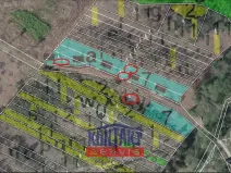 Prodej lesa, Dlouhá Brtnice, 5000 m2