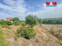 Prodej pozemku pro bydlení, Bechlín, 1185 m2