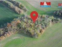 Prodej lesa, Kočí, 5803 m2