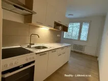 Pronájem bytu 2+1, Ústí nad Labem - Střekov, Tolstého, 63 m2