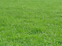 Prodej pozemku, Králova Lhota - Laziště, 2640 m2