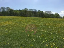 Prodej pozemku pro bydlení, Volyně, 6867 m2