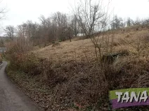 Prodej pozemku pro bydlení, Karlovice, 1100 m2