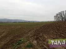 Prodej pole, Karlovice, 10104 m2