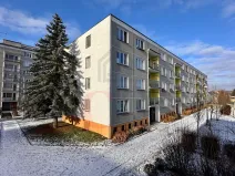 Prodej bytu 1+1, Třemošná, Luční, 40 m2