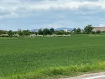 Prodej pole, Brno, 11752 m2