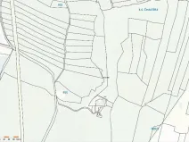 Prodej lesa, Česká Bělá, 7690 m2