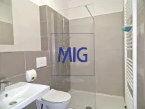 Pronájem bytu 1+kk, Syrovice, 27 m2