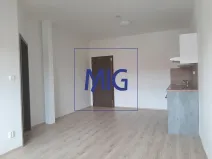 Pronájem bytu 2+kk, Syrovice, 64 m2