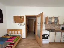 Pronájem bytu 1+kk, České Budějovice, Nová, 30 m2