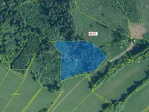 Dražba lesa, Nezdice na Šumavě, 10638 m2