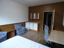 Pronájem bytu 1+kk, Brno, Heršpická, 23 m2