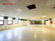 Pronájem obchodního prostoru, Frýdek-Místek, Třebízského, 220 m2