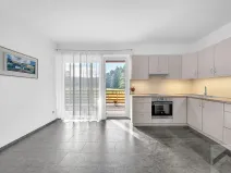 Prodej bytu 3+kk, Žamberk, U Dlouhoňovic, 86 m2