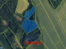 Prodej lesa, Sychrov - Radostín, 30767 m2