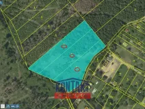 Prodej lesa, Jevíčko, 70821 m2