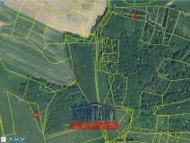 Prodej lesa, Čepřovice, 2819 m2