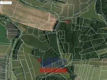 Prodej lesa, Čepřovice, 2819 m2