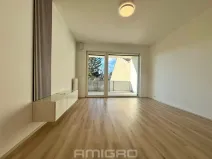 Pronájem bytu 1+kk, Brno, Gajdošova, 33 m2