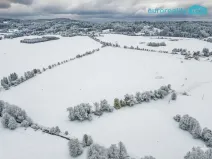 Prodej pole, Mariánské Lázně, 112367 m2