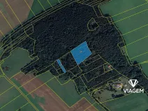 Prodej lesa, Chodská Lhota, 5730 m2