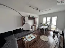 Pronájem bytu 2+1, Most, Vítězslava Nezvala, 53 m2