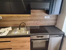 Pronájem bytu 1+kk, Frýdek-Místek, Petra Cingra, 50 m2