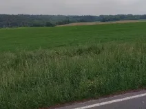 Prodej pole, Chuchelná, 2417 m2