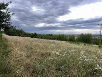 Prodej zahrady, Oslavany, 3447 m2