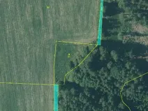 Prodej lesa, Nová Bystřice, 708 m2