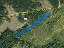 Dražba lesa, Kateřinice, 4826 m2