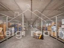 Pronájem skladu, Milotice, 994 m2